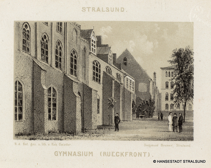 Single stralsund