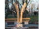 Foto: Helios Hanseklinikum Stralsund  - Ort zum Gedenken und Trauern: Sternenkinderfeld auf dem Stralsunder Zentralfriedhof