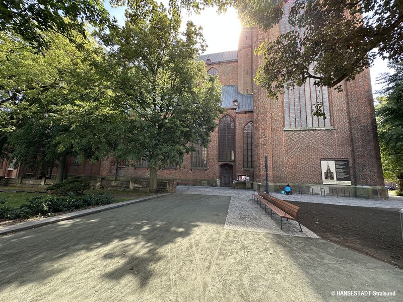Baumbestand Umfeld Marienkirche
