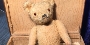 Teddy