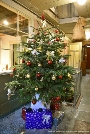 Weihnachtsbaum in der Diele des Museumshauses Mönchstraße 38