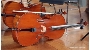 Musikschule lädt zu Frühlingskonzerten in die Aula des Hansa-Gymnasiums