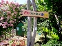 Blick ins Gartenparadies