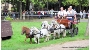 Shetlandponys gehören zu den festen Programmpunkten des Pferdetages im Stralsunder Zoo. In diesem Jahr werden sie von einer Kinderreitgruppe präsentiert.