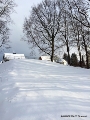 Wenn Schnee liegen sollte, ist der Rodelberg an den Bleichen ein guter Tipp