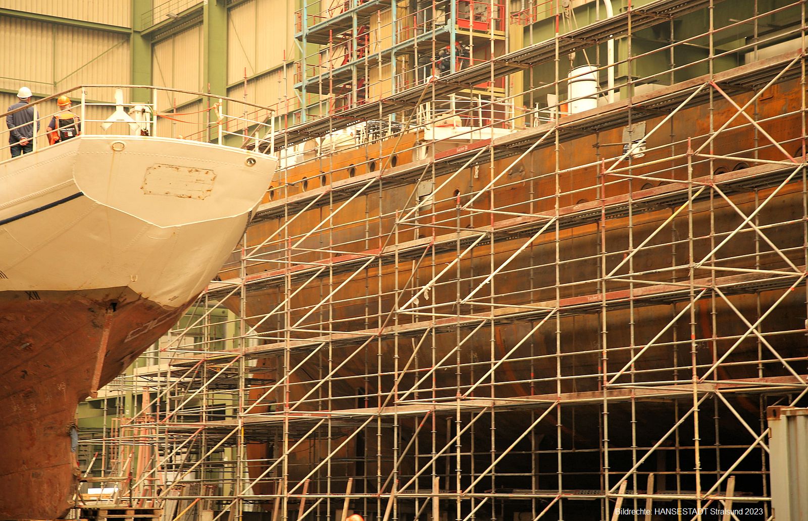 Links neben der 'Gorch Fock' 1 liegt die 'Greif' die ebenfalls in der großen Schiffbauhalle restauriert wird.