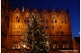 Der festlich geschmückte Weihnachtsbaum vor der Rathausfassade