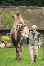 Ausbildungsberuf Tierpfleger/in bei der Hansestadt Stralsund, Fotografin: Maria Ehlers